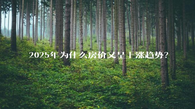 2025年为什么房价又呈上涨趋势？