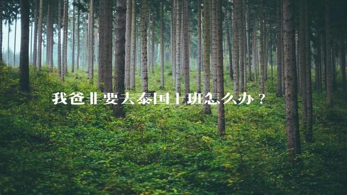 我爸非要去泰国上班怎么办?