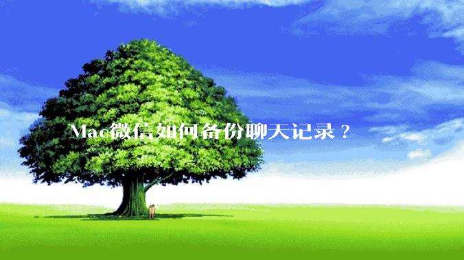 Mac微信如何备份聊天记录?